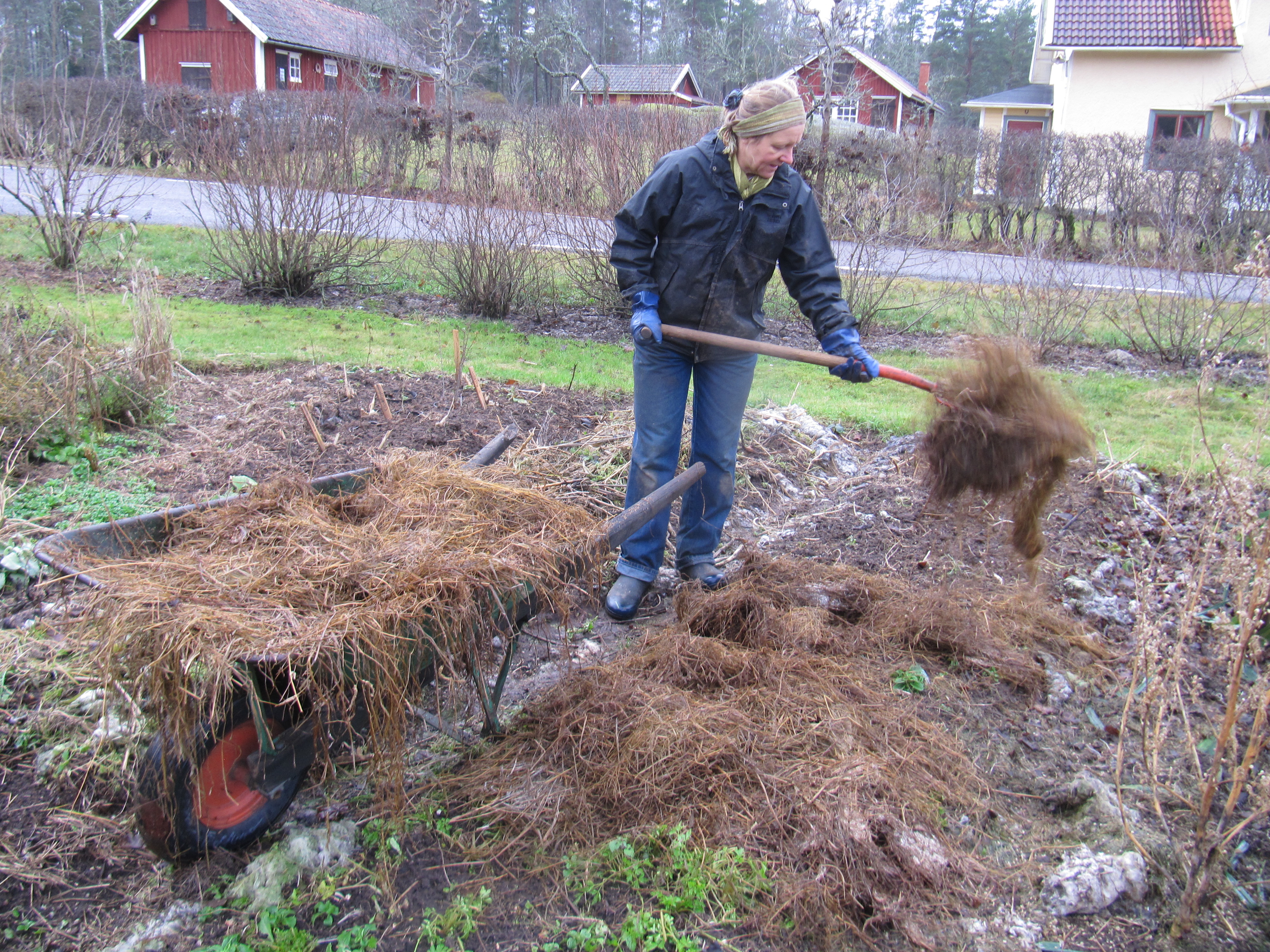 täcka med ensilage