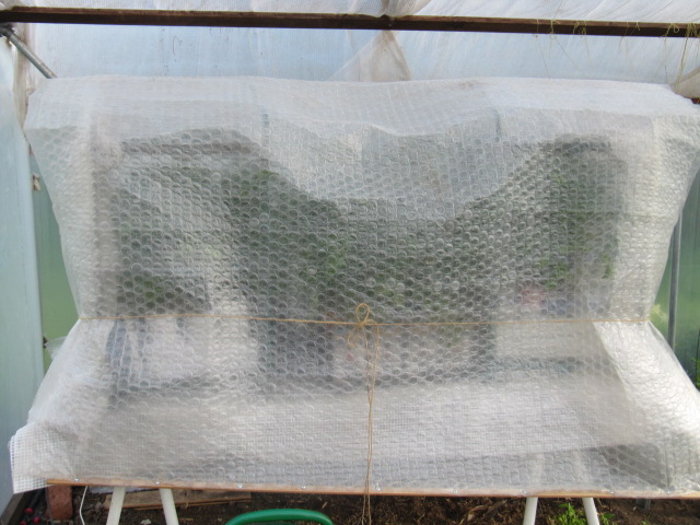 Växthus i växthuset