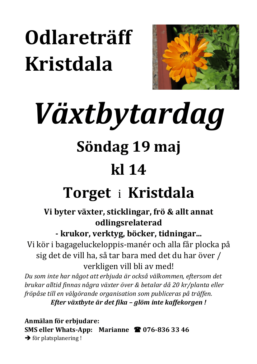 Växtbytardag