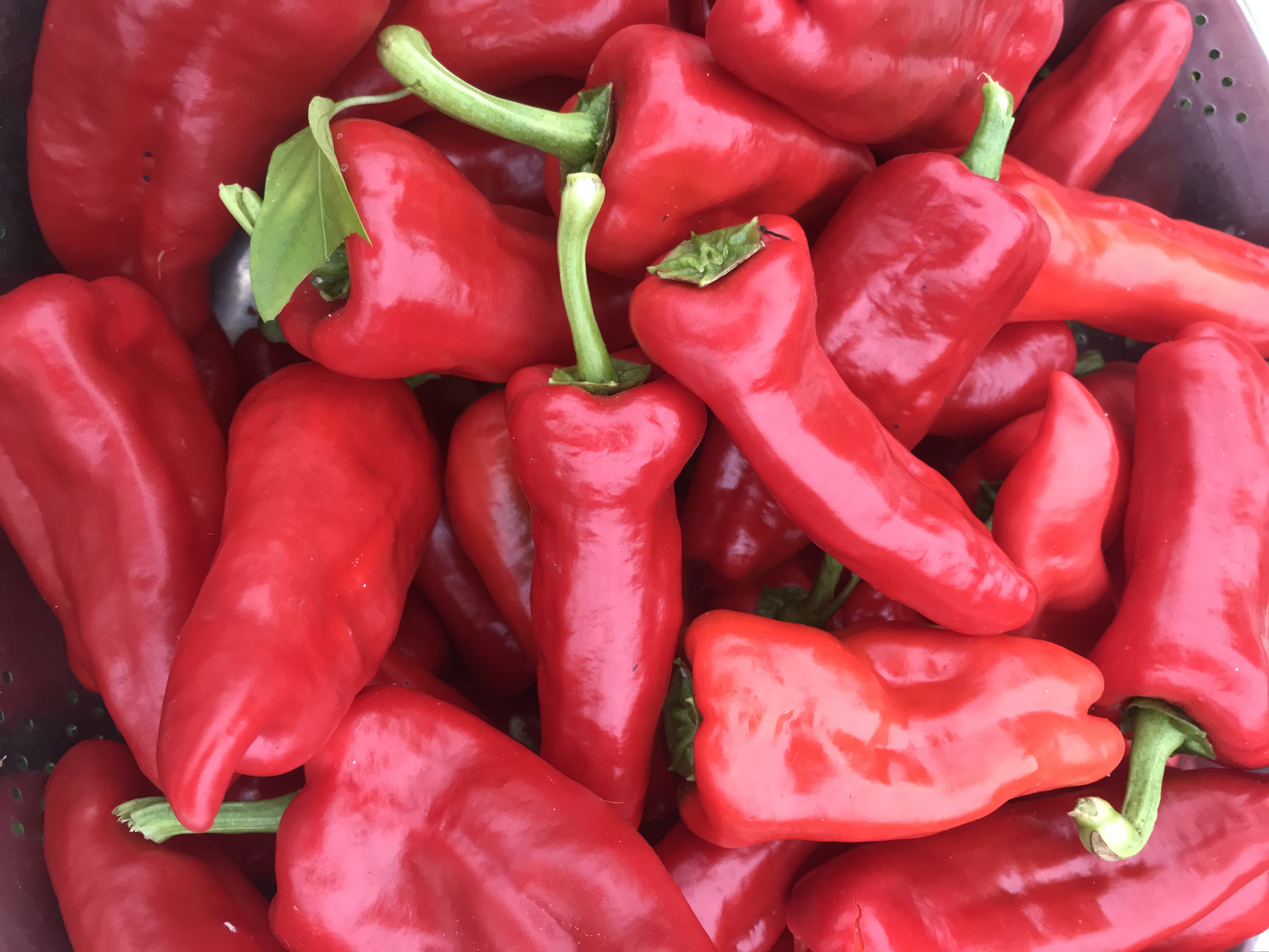 Odling som livsstil och lokal resiliens