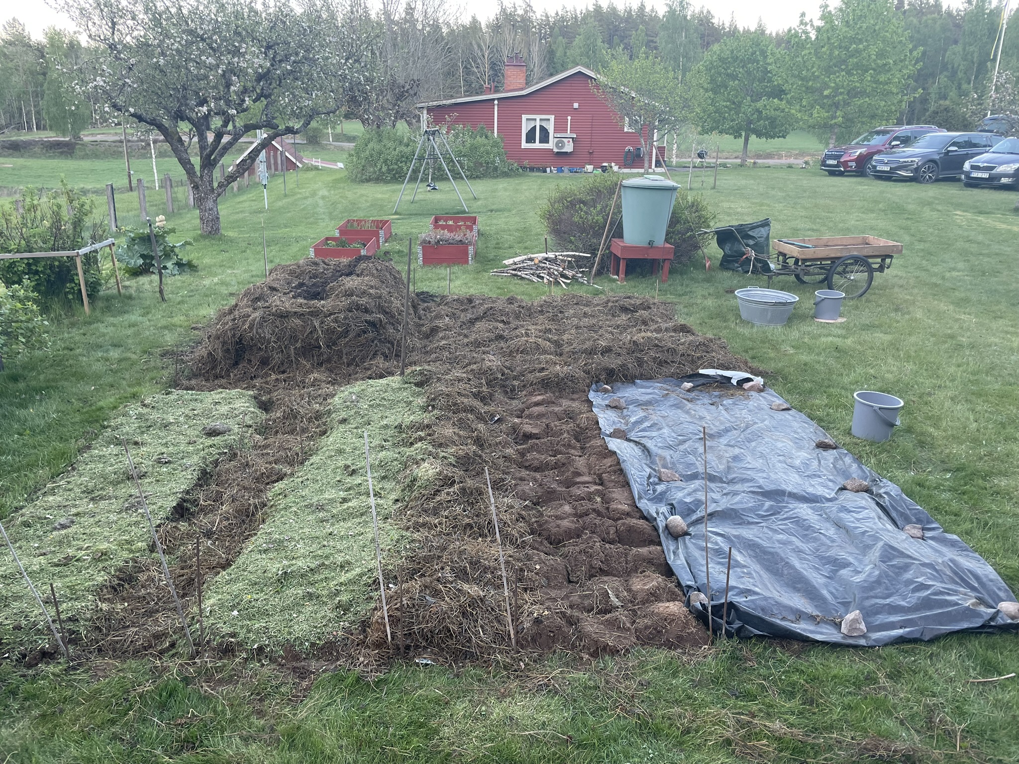 Sex sätt att omvandla en gräsmatta till ett prunkande grönsaksland.